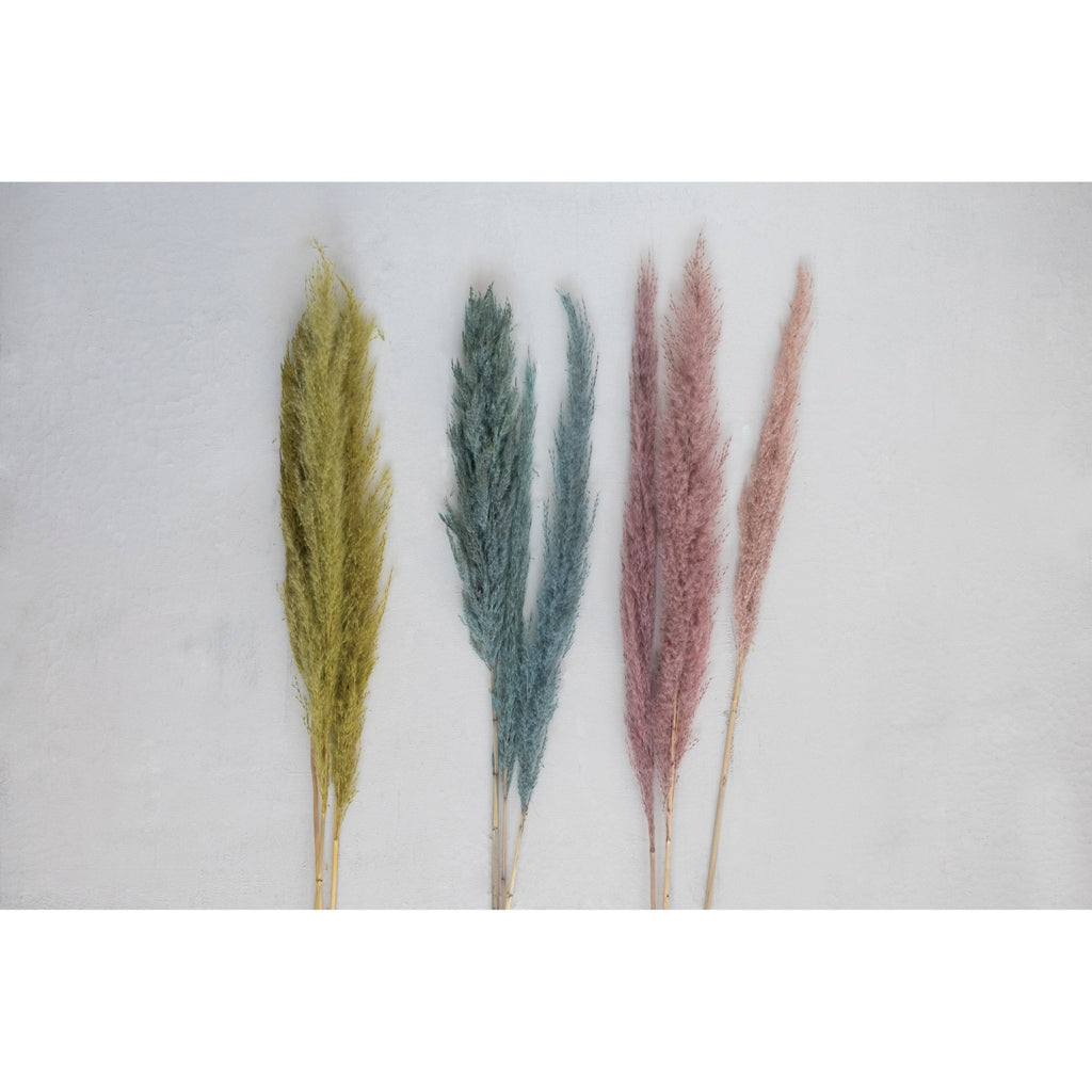Dried Natural Pampas Grass Bunch - Haus of Powell