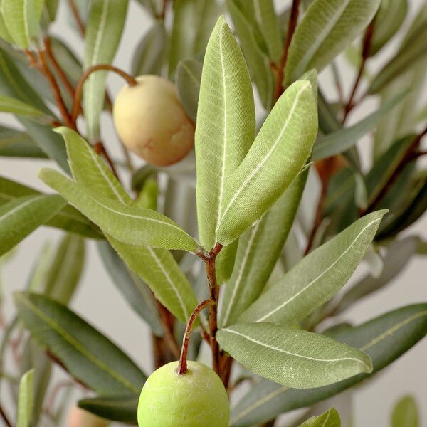 Faux Olive Potted Tree - Haus of Powell