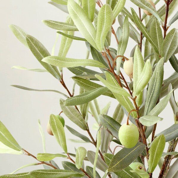 Faux Olive Potted Tree - Haus of Powell