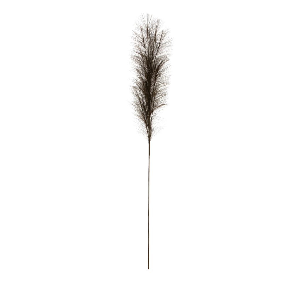 Faux Pampas Grass Plume - Haus of Powell